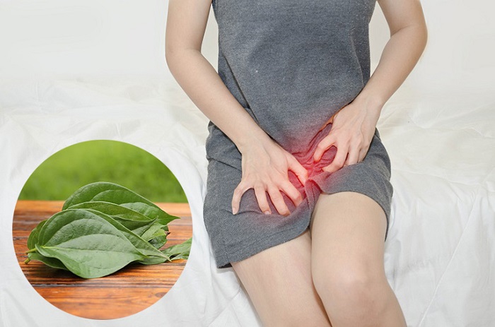 Lá trầu không làm hồng vùng kín