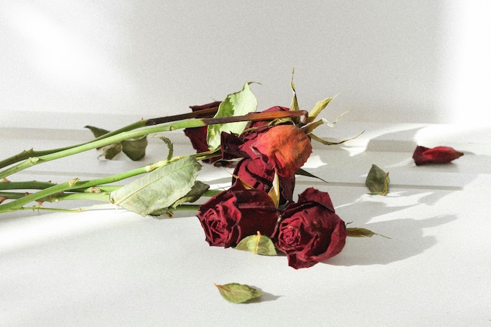 Làm sao để vùng kín không bị thâm