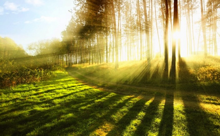 Kem xóa nếp nhăn vùng cổ Kem xóa nếp nhăn vùng cổ