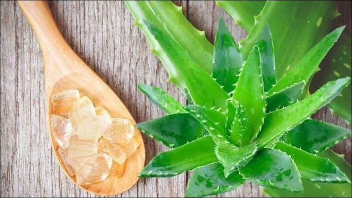 Xóa nếp nhăn bằng nha đam