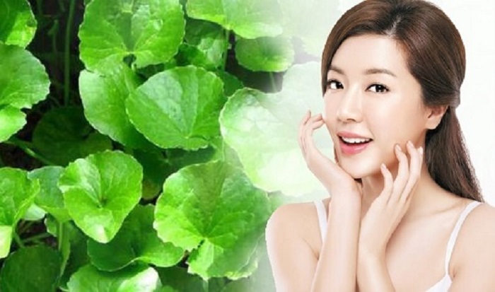Cách trị nám bằng rau má