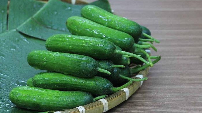 Dưa leo xóa bọng mắt
