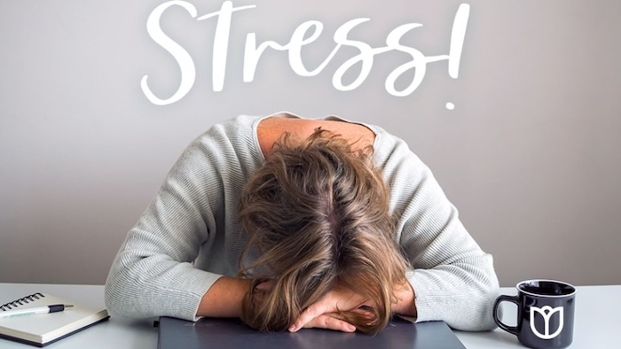 Làm cách nào để trị nám da Làm cách nào để trị nám da