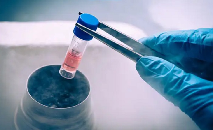 Tế bào gốc trị nám tốt nhất Tế bào gốc trị nám tốt nhất