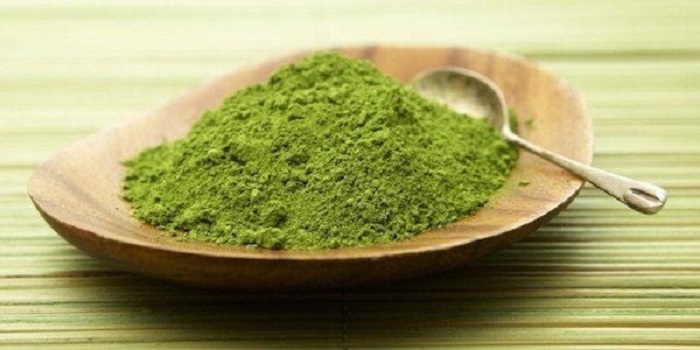 Trị nám bằng lá chùm ngây Trị nám bằng lá chùm ngây