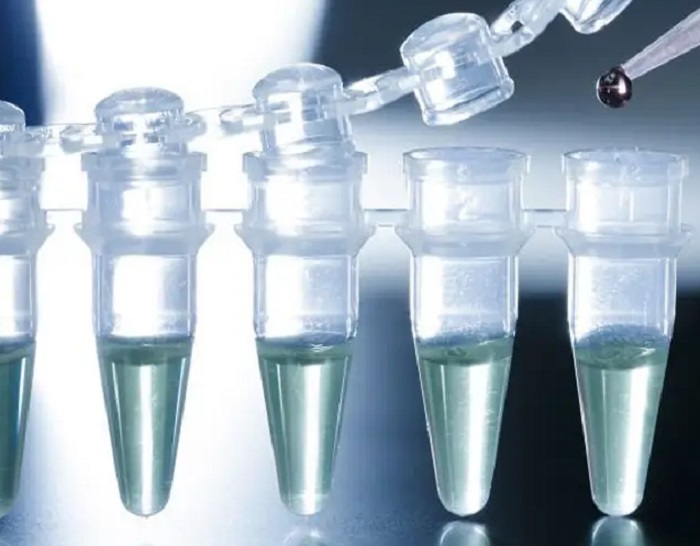 Trị nám bằng tế bào gốc Trị nám bằng tế bào gốc