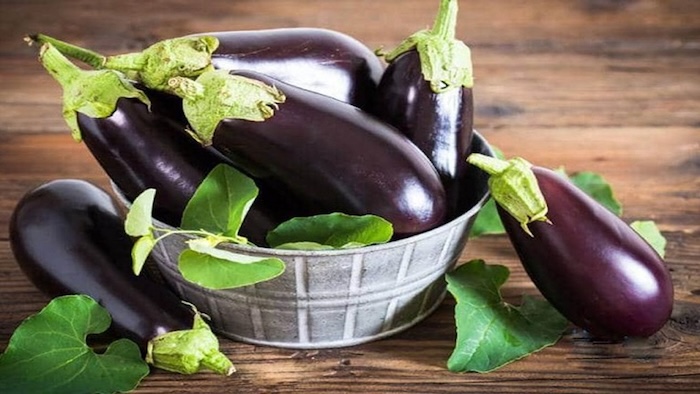Trị nám từ cà tím