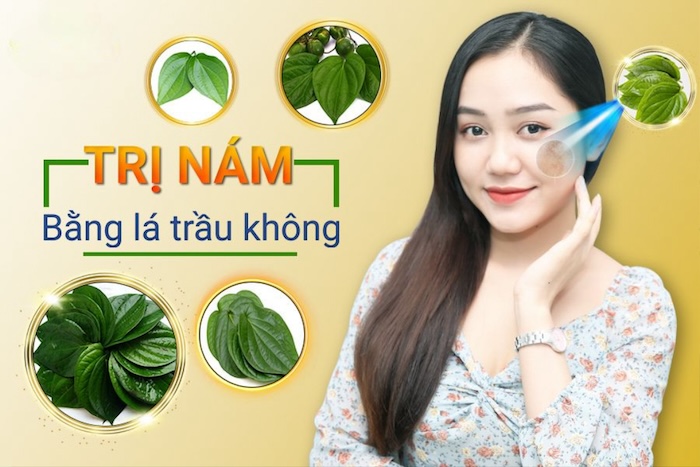 Cách làm cao lá trầu không trị nám Cách làm cao lá trầu không trị nám