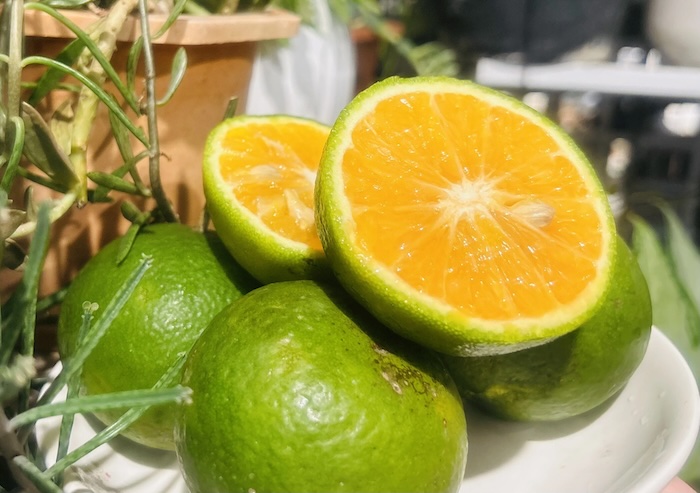 Cách làm mờ nám tại nhà Cách làm mờ nám tại nhà