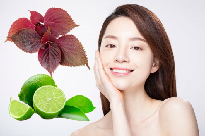 Cách trị nám bằng lá tía tô và chanh