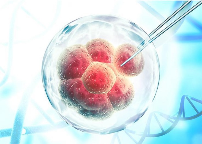 Tế bào gốc trị nám hàn quốc