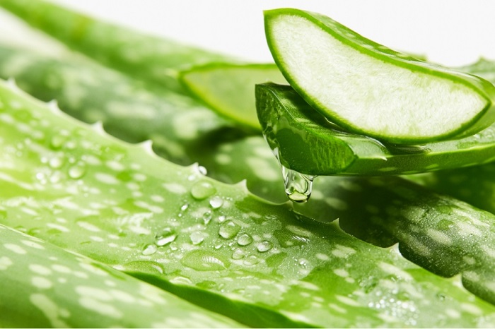 Trị nám bằng thảo dược thiên nhiên Trị nám bằng thảo dược thiên nhiên