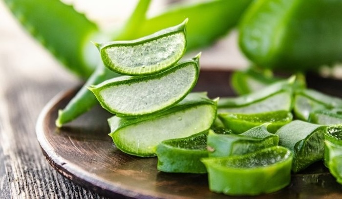 Cách dùng nha đam trị nám Cách dùng nha đam trị nám