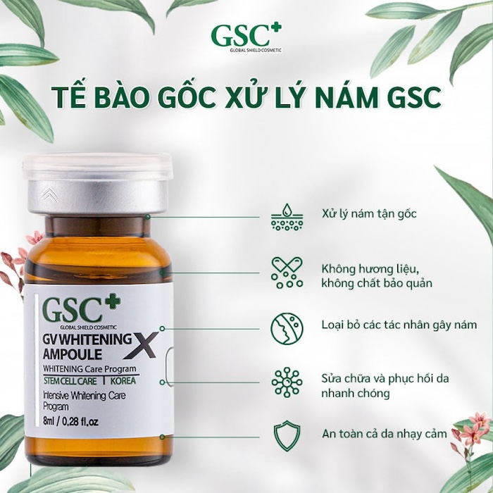 Tế bào gốc trị nám gsc