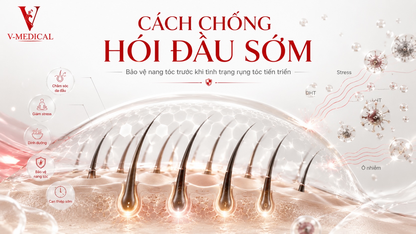 Cách chống hói đầu sớm Cách chống hói đầu sớm