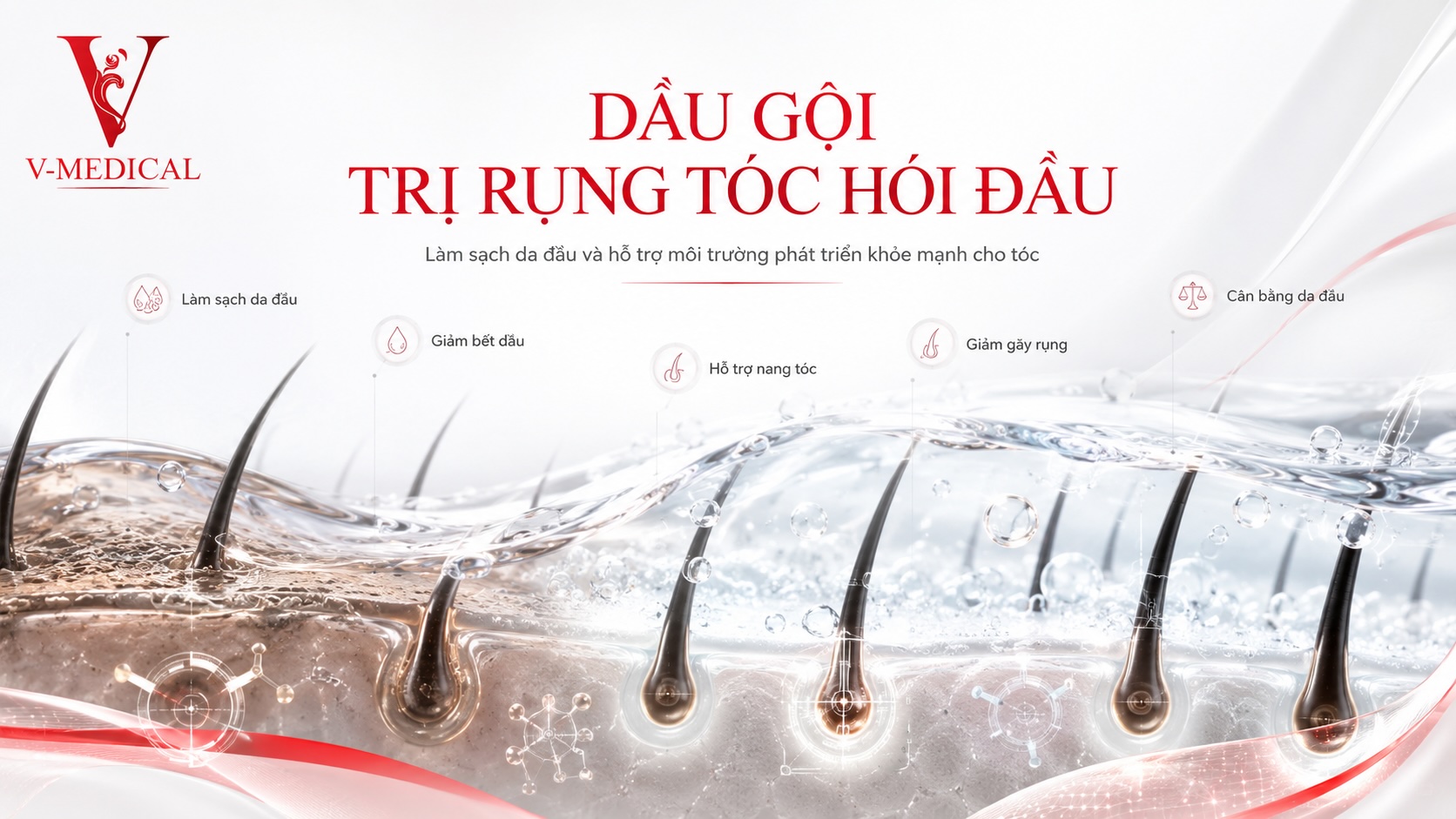 Dầu gội trị rụng tóc hói đầu Dầu gội trị rụng tóc hói đầu