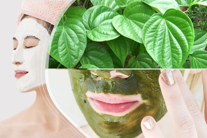 Hướng dẫn cách trị nám bằng lá trầu không