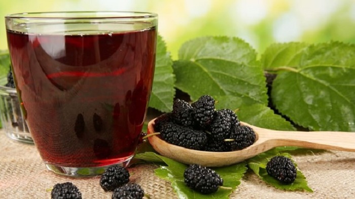 Chữa nám bằng dâu tằm