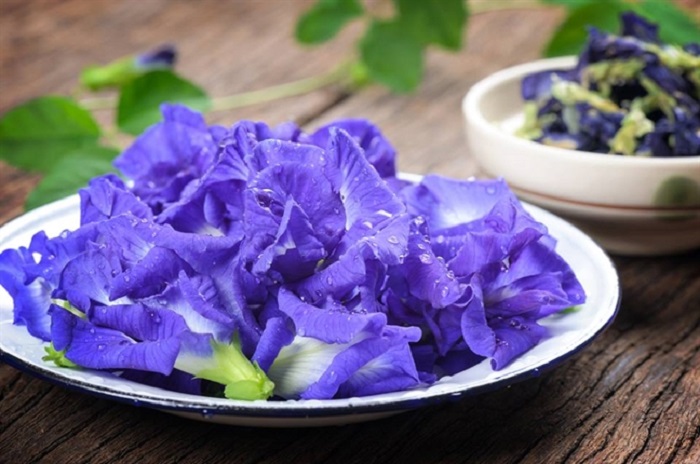 Hoa đậu biếc có trị nám được không