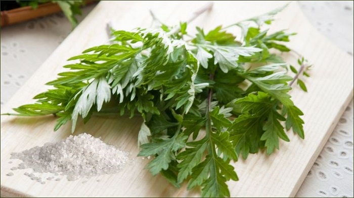 Ngải cứu có trị nám được không