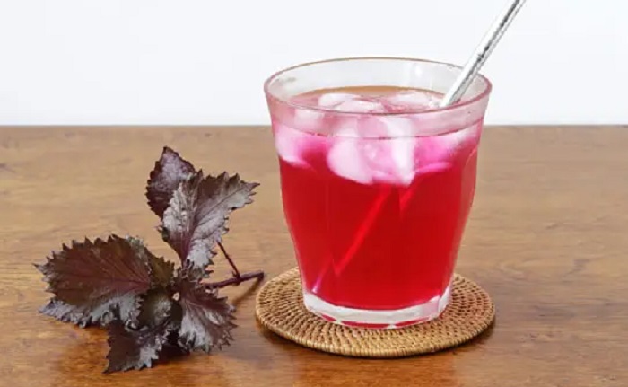 Cách làm nước tía tô trị nám Cách làm nước tía tô trị nám